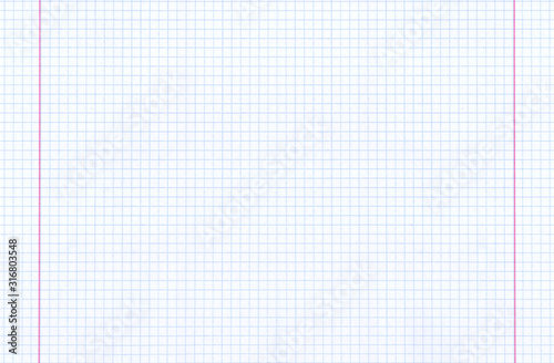 Expanded sheet of notebook paper in cage, template