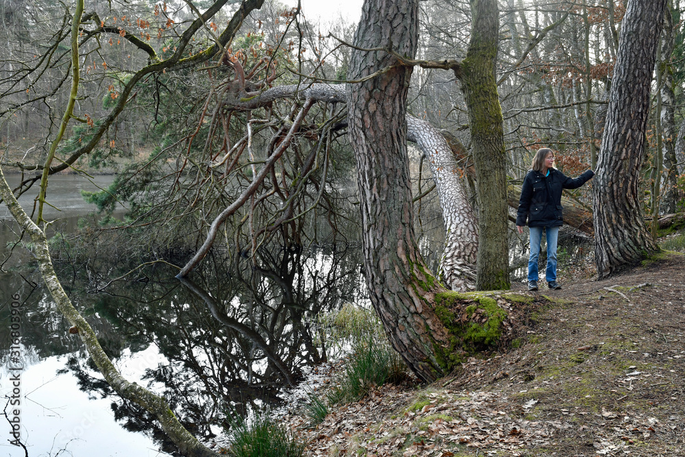 Obraz premium am retzbergweiher