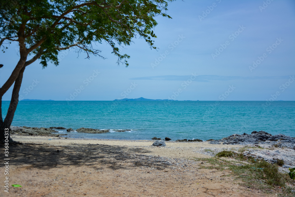 Tree on the rocky beach,The trees on the rocky beach against the backdrop of the blue sky in Bang Saray, Thailand. Tree on the rocky beach,The trees on the rocky beach against the backdrop of the blue sky in Bang Saray, Thailand.