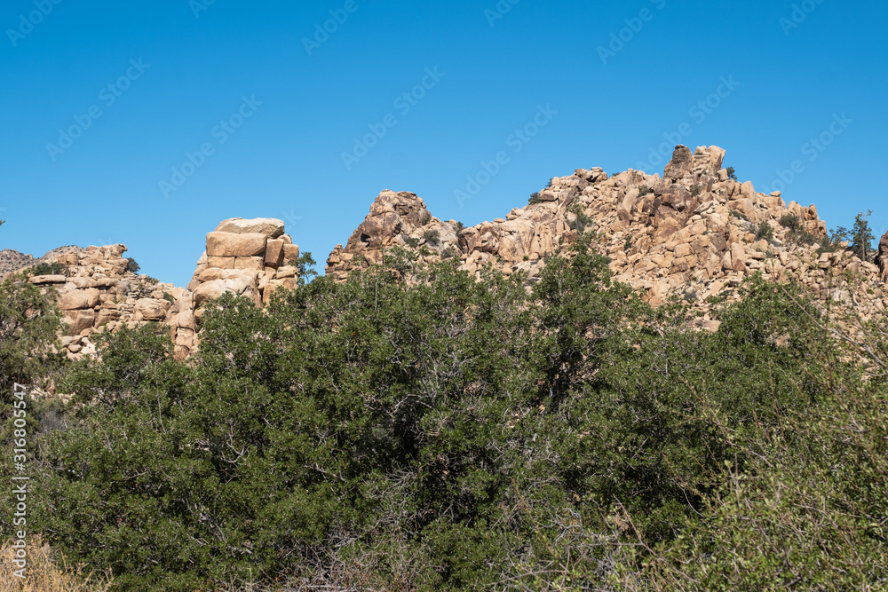 panorama on mountains at Joshua tree national park, California