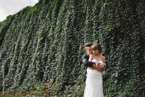 Happy young bride and groom on their wedding day. groom and bride hugging in front wall with green ivy
