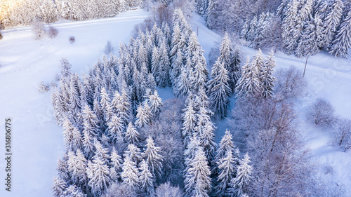 Aerial view of the forest at winter.