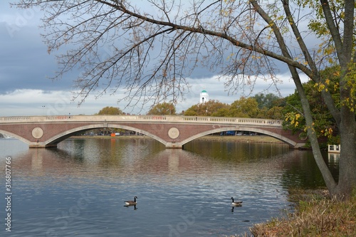 Bridge in Cambridge