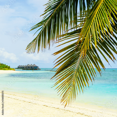 Sunny beach with bungalow views. A fragment of the island of Kuredu. Republic of Maldives © Sergey Chayko