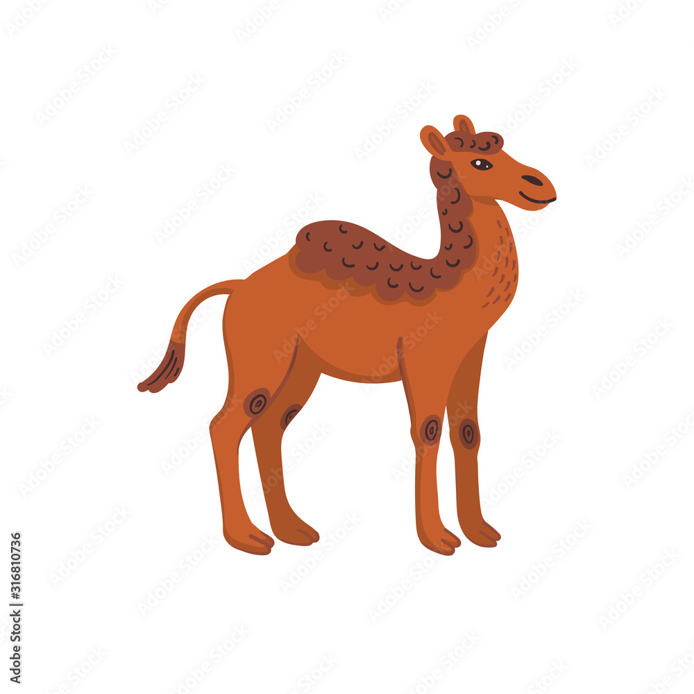 Extinct animals. Camelops, western camel. Prehistoric extinct american one-humped camel. Flat style vector illustration isolated on white background. Extinct animals. Camelops, western camel. Prehistoric extinct american one-humped camel. Flat style vector illustration isolated on white background.