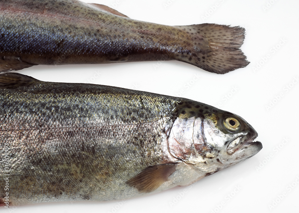 TRUITE ARC EN CIEL POISSONNERIE TRUITE ARC EN CIEL POISSONNERIE