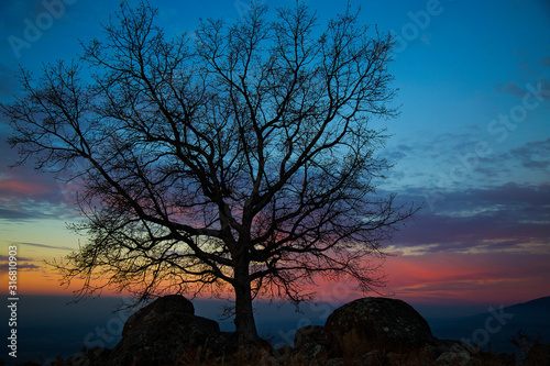 Atardecer en el campo