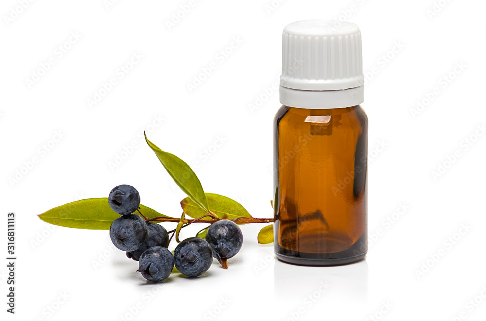 myrtle berries and bottle of essential oil isolated on white myrtle berries and bottle of essential oil isolated on white