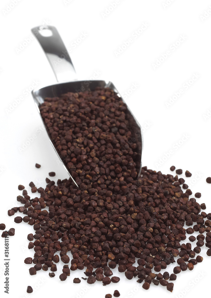 MANIGUETTE aframomum melegueta MANIGUETTE aframomum melegueta