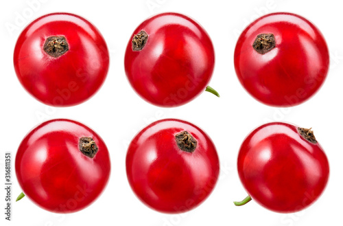Red currant isolate. Currant red on white background. Currant with clipping path. Top view. Side view.