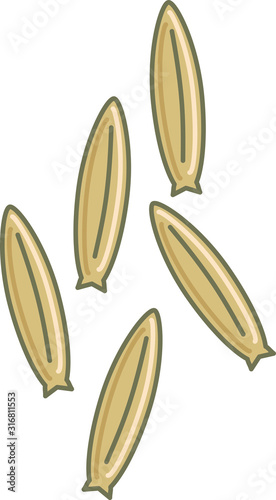 cumin icon, vector illustration