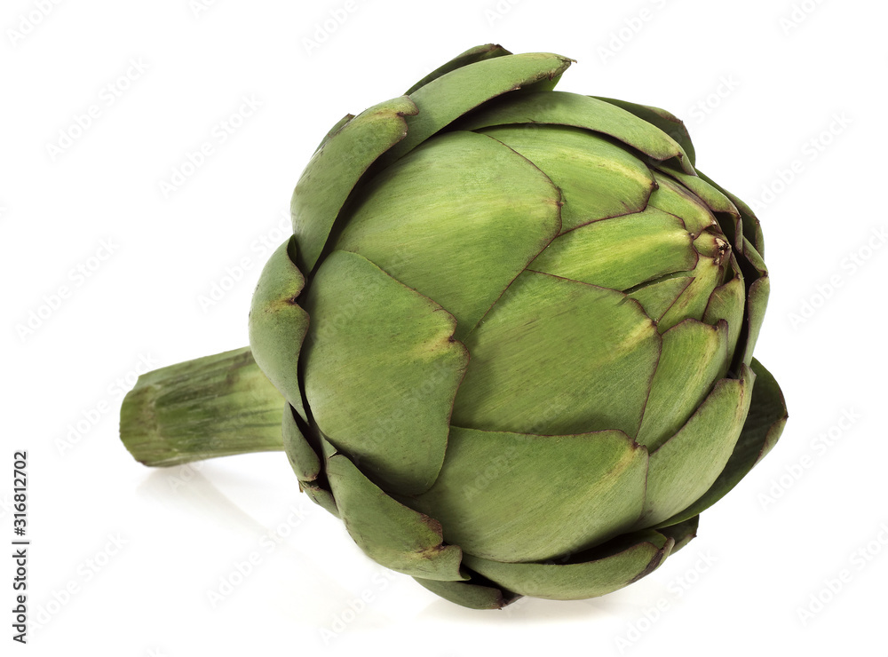 Fototapeta premium ARTICHAUT