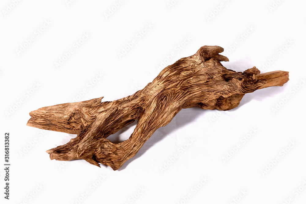 Fototapeta premium close-up isolated texture of an old tree studio