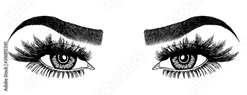 Illustration with woman's eyes, eyelashes and eyebrows. Makeup Look. Tattoo design. Logo for brow bar or lash salon.