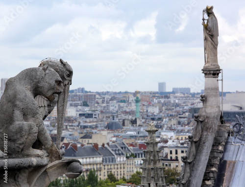 roof of the cathedral of Notre Dame in Paris while observing the © ChiccoDodiFC