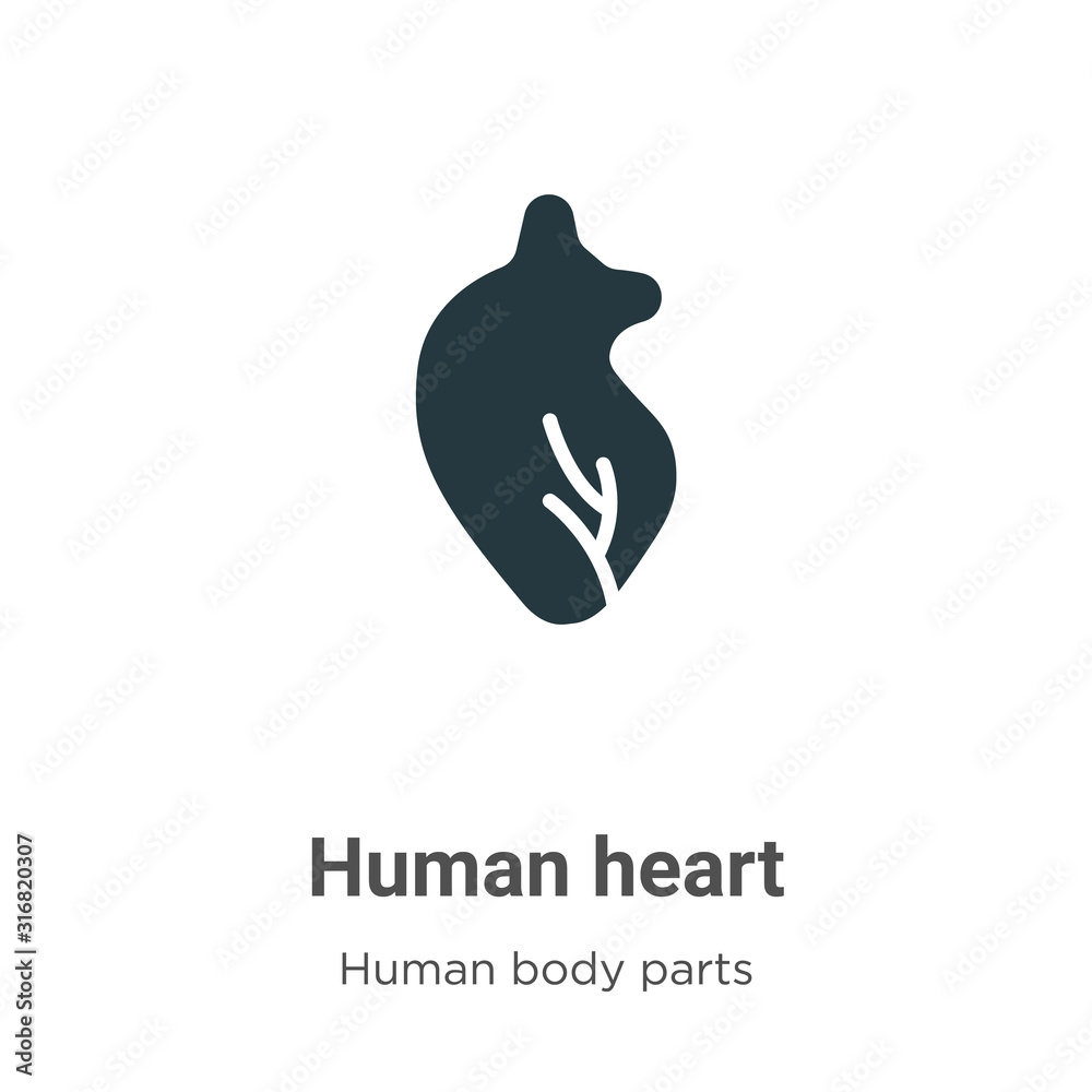 Human heart glyph icon vector on white background. Flat vector human heart icon symbol sign from modern human body parts collection for mobile concept and web apps design.