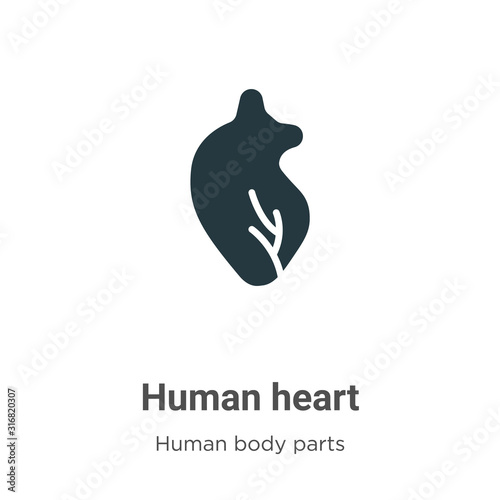 Human heart glyph icon vector on white background. Flat vector human heart icon symbol sign from modern human body parts collection for mobile concept and web apps design.