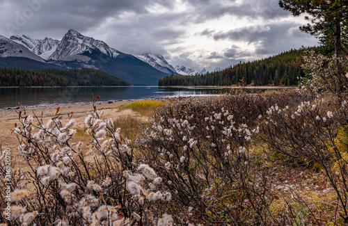 MALIGNE LAKE ALBERTA CANADA