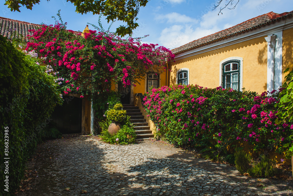 Fototapeta premium A courtyard of a yellow portuguese house