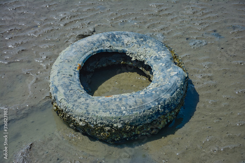 Old car tires on the beach,Water and sea coast pollution car tires on sand beach,An image of an old car tire ingrown into the sand.Old car tires with seaweed stuck on.