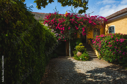 A courtyard of a yellow portuguese house