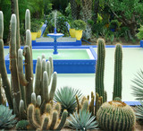 cactus garden with fountain Morocco Marakesh
