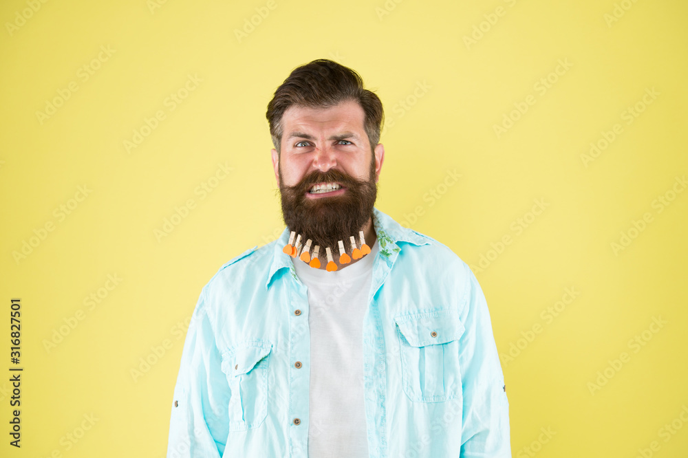 Fototapeta premium Annoying feeling. Irritated skin. Balm and lotion. Grooming standards. Skin care. Barber tips. Growing long beard. Man with beard and clothespins. Decor and accessory. Beard styling product