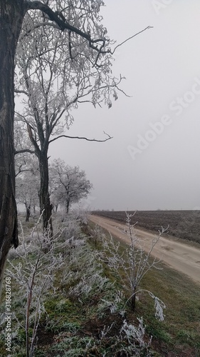 road in winter © Рустам Юлдашов