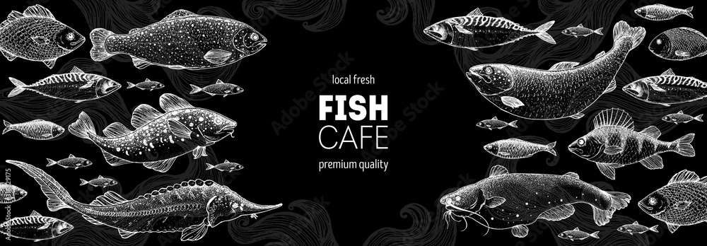 Fish sketch collection. Hand drawn vector illustration. Seafood frame. Food menu illustration. Hand drawn sturgeon, tuna, cod fish, herring, rainbow trout, mackerel, salmon, perch. Engraved style