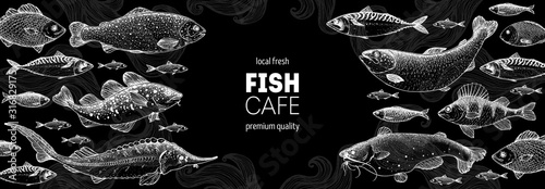 Fish sketch collection. Hand drawn vector illustration. Seafood frame. Food menu illustration. Hand drawn sturgeon, tuna, cod fish, herring, rainbow trout, mackerel, salmon, perch. Engraved style