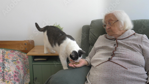 Old woman is giving dry cat food for her cat