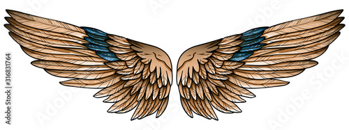 Beautiful spreaded hand drawn eagle brown wings with turquoise feathers, vector