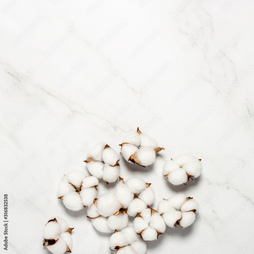 Cotton flowers on a marble background. Natural product concept, decor, home decoration, interior. Square. Flat lay, top view Cotton flowers on a marble background. Natural product concept, decor, home decoration, interior. Square. Flat lay, top view