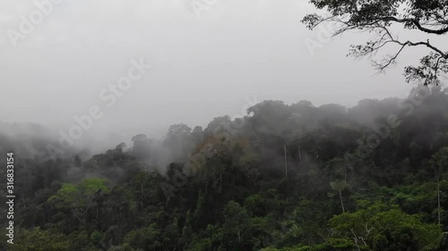 Aerial Video of Ecuadorian Amazon photo