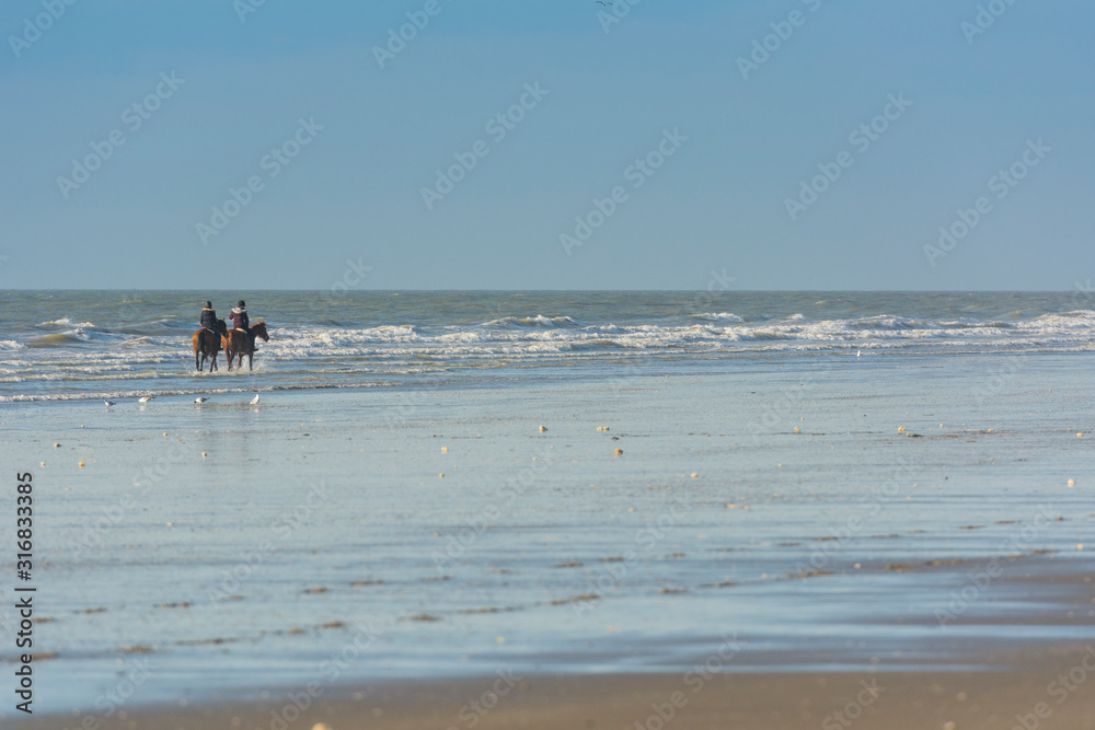 Cavaliers et leurs chevaux sur la plage en train de marcher et de galoper.