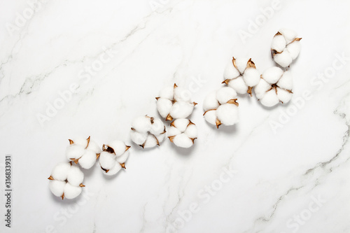 Cotton flowers on a marble background. Natural product concept, decor, home decoration, interior. Flat lay, top view