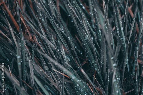 abstract background