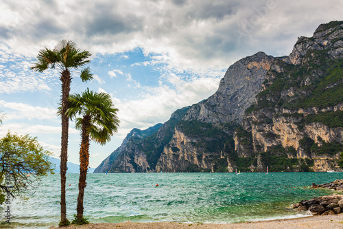 Palm trees at beach  Riva del Garda