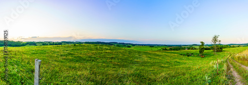 Rural landscape with green field and blue sky. Panoramic view of a meadow for grazing cows after sunset.
