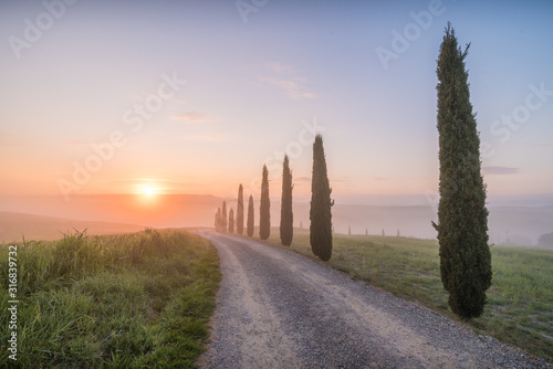 Beautiful landscape in Val d'Orcia in Tuscany in Italy with green and yellow grass fields and trees with sky with clouds and typical tuscany trees cypresses and sweet hills at sunrise