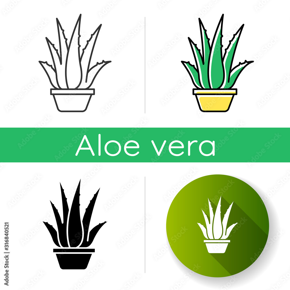Houseplant icon. Potted aloe vera. Cactus and succulent leaves. Growing  medicinal herb. Decorative plant. Cultivation, vegetation. Linear black and  RGB color styles. Isolated vector illustrations vector de Stock | Adobe  Stock
