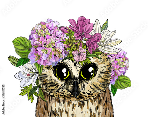 Cute owl with flowers on its head, full color