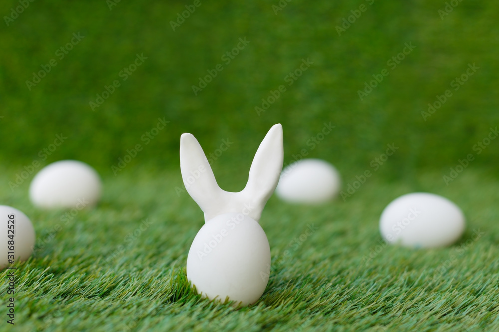 White chicken eggs on green grass, behind which are hidden the ears of the Easter bunny, which are symbols for the celebration of religious holiday among Christians and Catholics. White chicken eggs on green grass, behind which are hidden the ears of the Easter bunny, which are symbols for the celebration of religious holiday among Christians and Catholics.