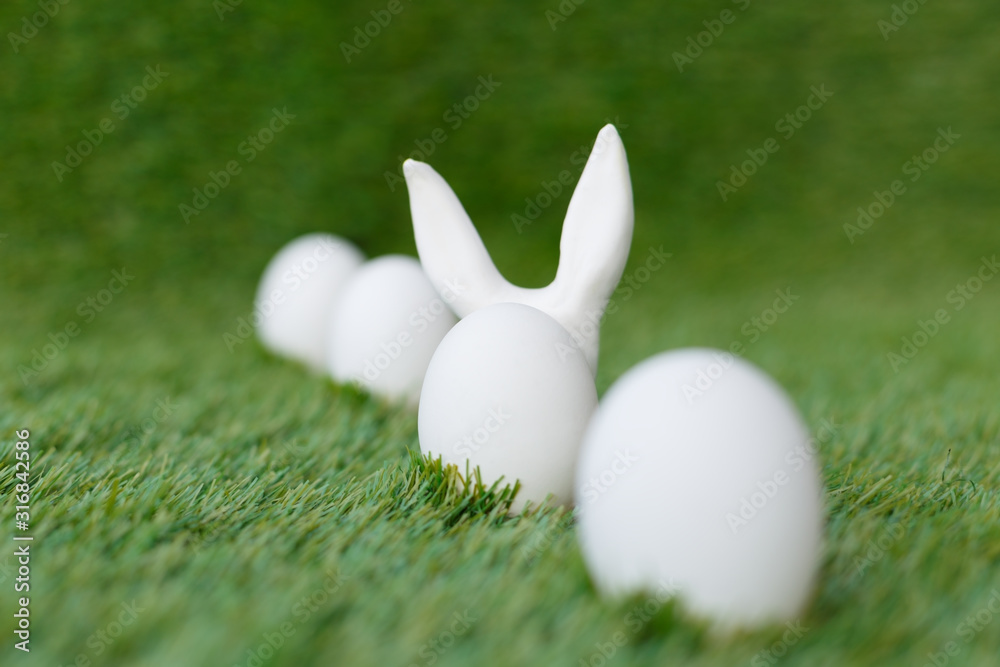 White chicken eggs on green grass, behind which are hidden the ears of the Easter bunny, which are symbols for the celebration of religious holiday among Christians and Catholics. White chicken eggs on green grass, behind which are hidden the ears of the Easter bunny, which are symbols for the celebration of religious holiday among Christians and Catholics.