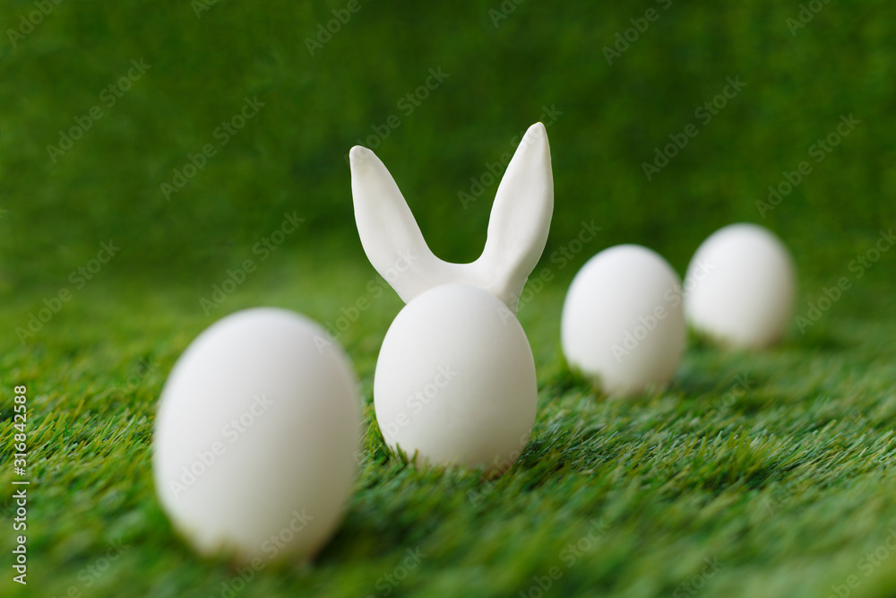 White chicken eggs on green grass, behind which are hidden the ears of the Easter bunny, which are symbols for the celebration of religious holiday among Christians and Catholics.