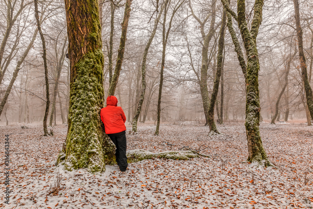 Young man is leaning on a tree in a winter forest