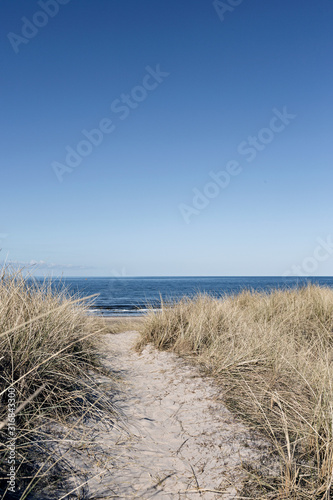 Path to the beach