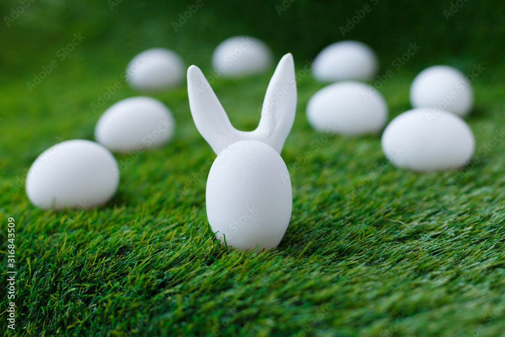 White chicken eggs on green grass, behind which are hidden the ears of the Easter bunny, which are symbols for the celebration of religious holiday among Christians and Catholics White chicken eggs on green grass, behind which are hidden the ears of the Easter bunny, which are symbols for the celebration of religious holiday among Christians and Catholics