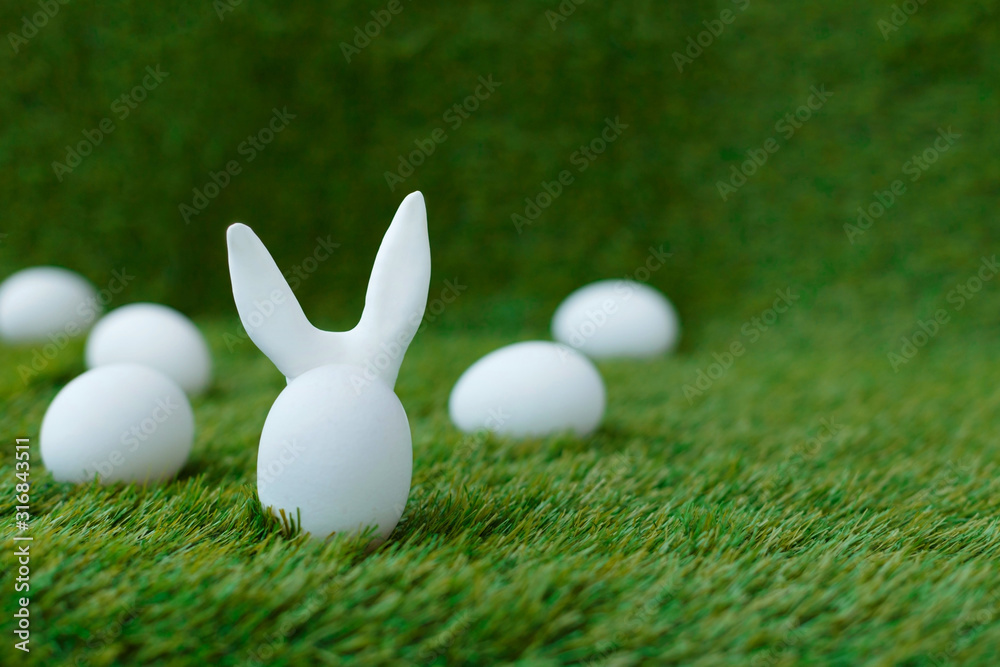 White chicken eggs on green grass, behind which are hidden the ears of the Easter bunny, which are symbols for the celebration of religious holiday among Christians and Catholics White chicken eggs on green grass, behind which are hidden the ears of the Easter bunny, which are symbols for the celebration of religious holiday among Christians and Catholics