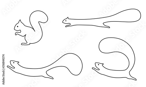 Set of squirrels in different poses. Sits, runs, jumps. Vector illustration